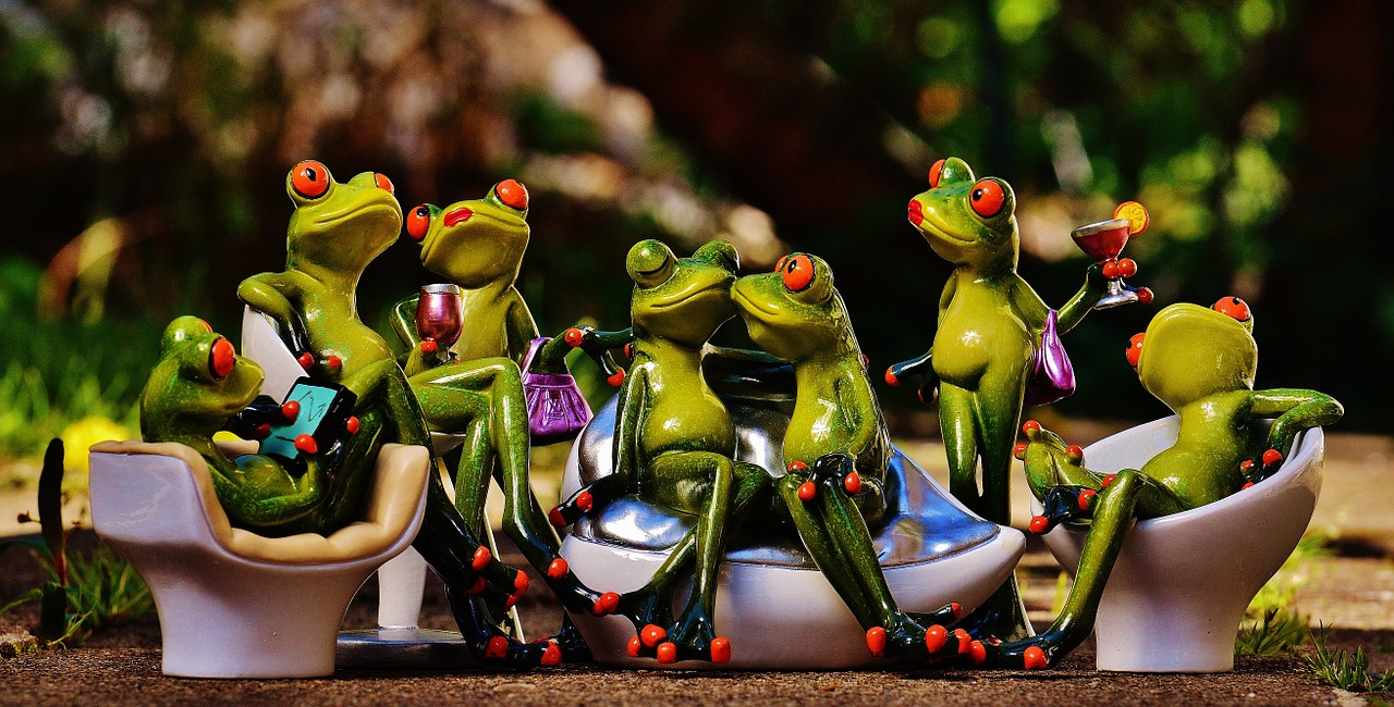 frogs-1364164_1280